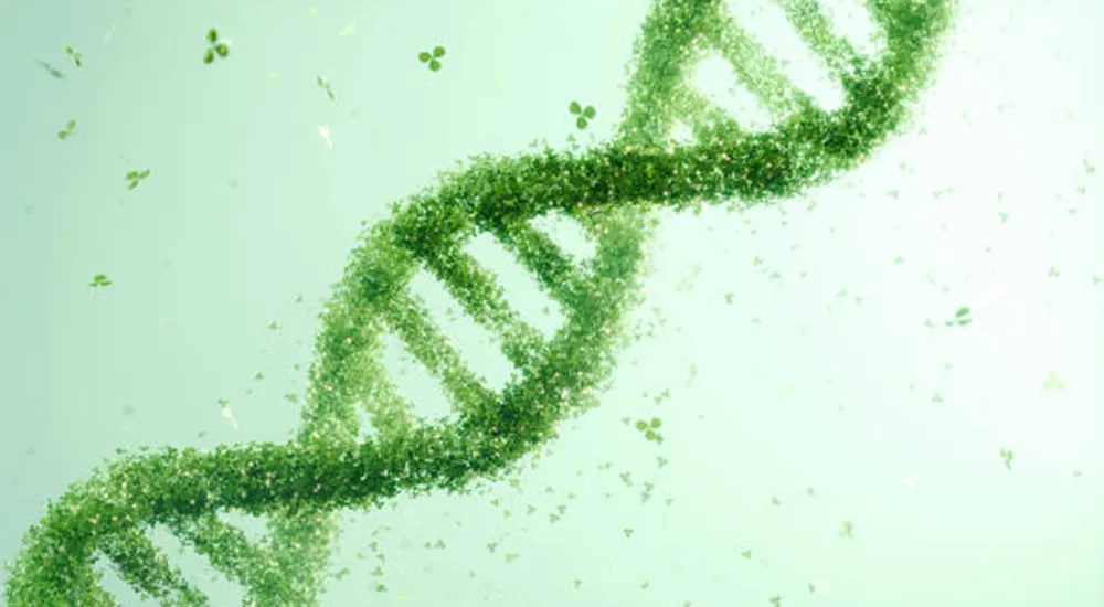 Intermédiaires du sémaglutide