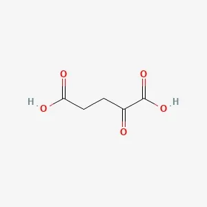 Acide α-cétoglutarique